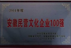 2014年度安徽民營文化企業(yè)100強(qiáng)