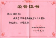 2014年度三八紅旗手榮譽(yù)證書