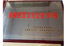 2017年度全省民營文化100強(qiáng)